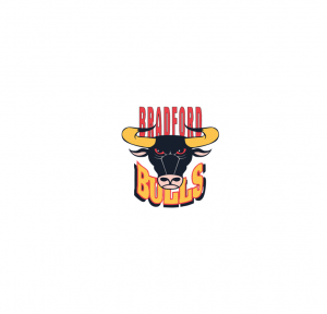 bradfordbulls logo